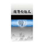 全能王